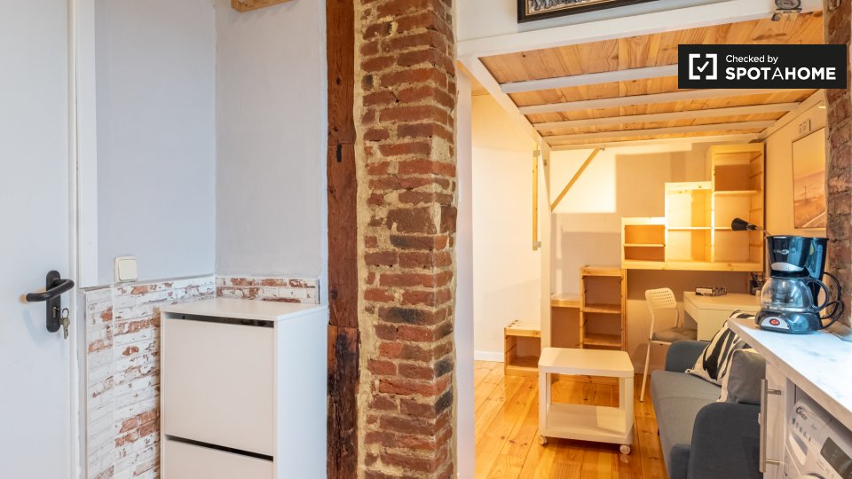 Apartment mono Madrid, 18m² — photo 9