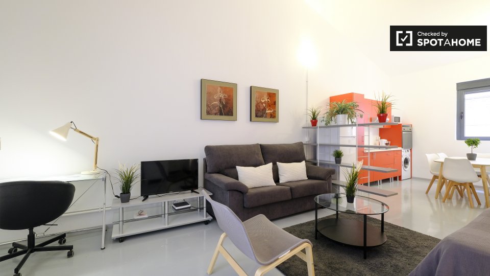 Apartment mono Madrid — photo 2