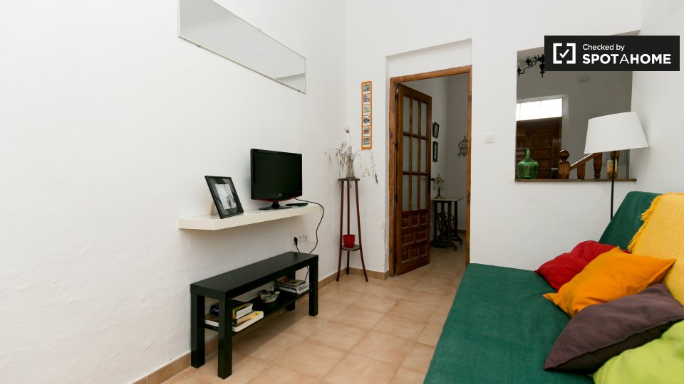 Apartment Granada, 1 bed, 60m² — photo 8