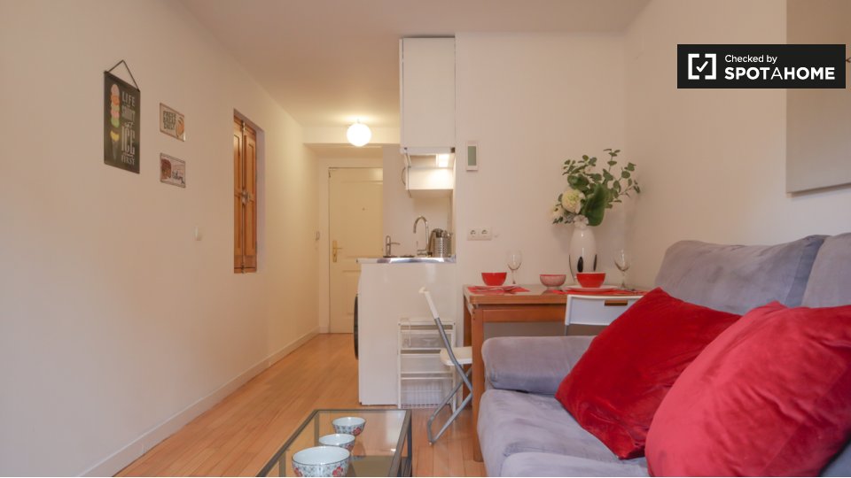 Apartment mono Madrid, 1m² — photo 3