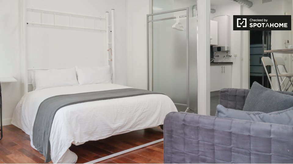 Apartment mono Madrid, 30m² — photo 10