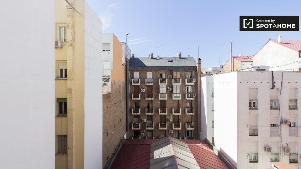 Double room Madrid, 8 beds, 200m² — photo 5