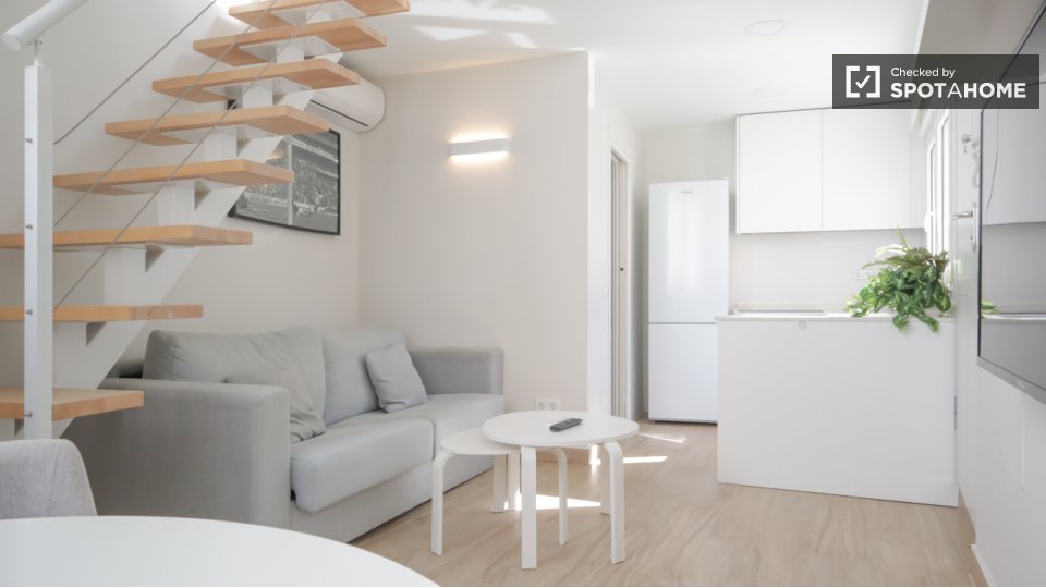 Apartment Madrid, 1 bed — photo 14