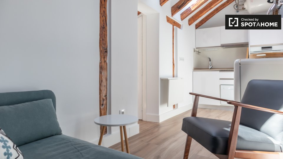 Apartment Madrid, 1 bed, 25m² — photo 4