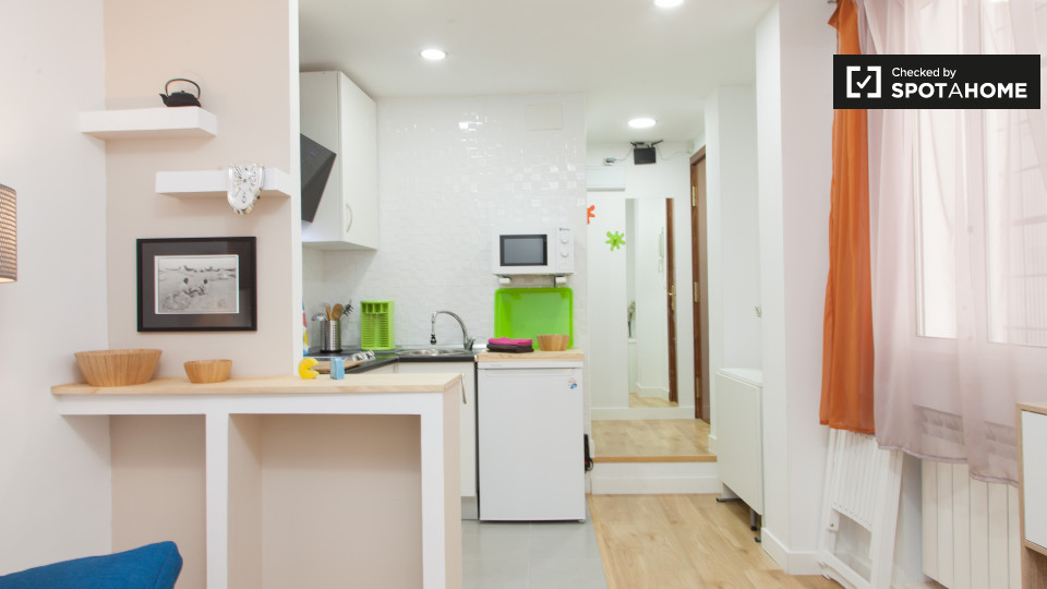 Apartment mono Madrid, 23m² — photo 13