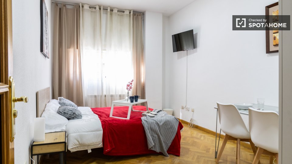 Double room Madrid, 2 beds — photo 13