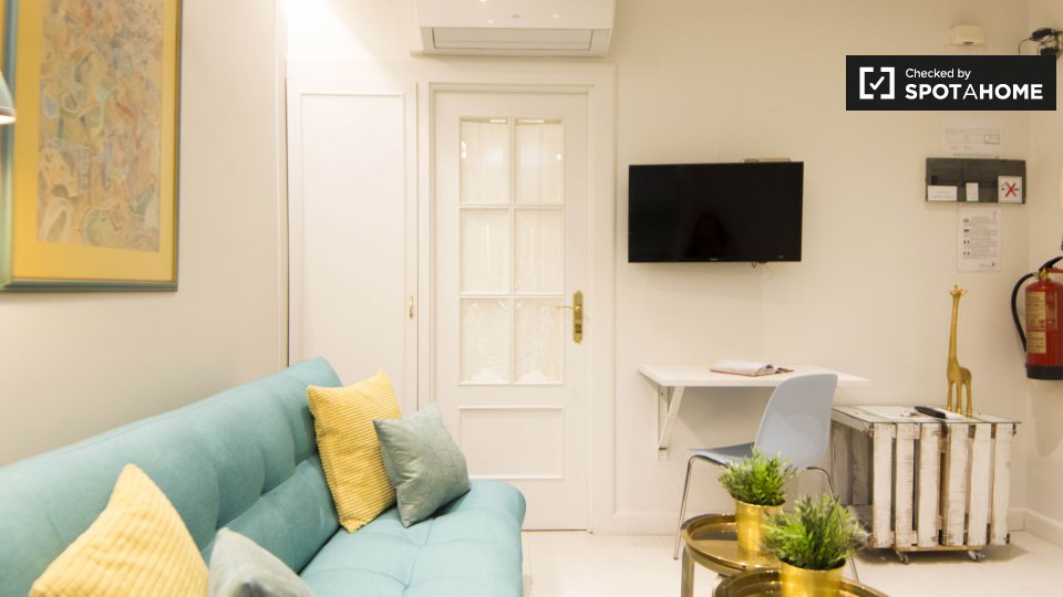 Apartment Madrid, 1 bed — photo 11