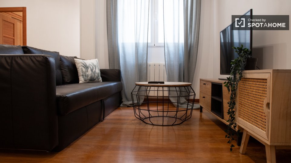 Apartamento de 1 dormitorio en alquiler en madrid