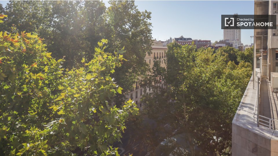 Double room Madrid, 18 beds — photo 12