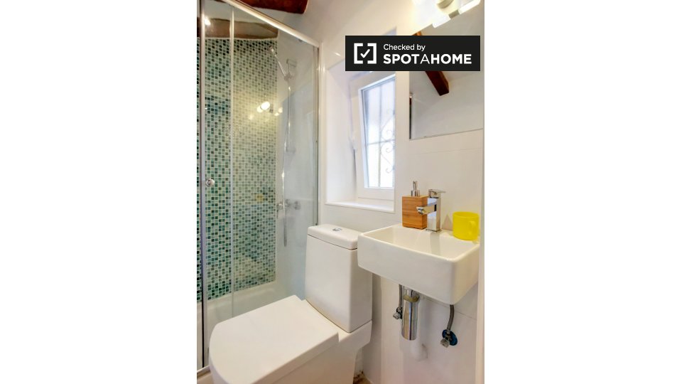 Apartment mono Madrid, 30m² — photo 19