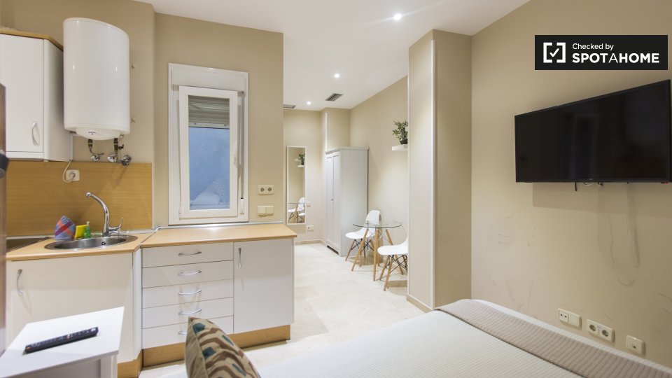 Apartment mono Madrid, 22m² — photo 4