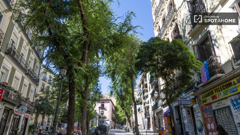 Apartment Madrid, 1 bed — photo 68