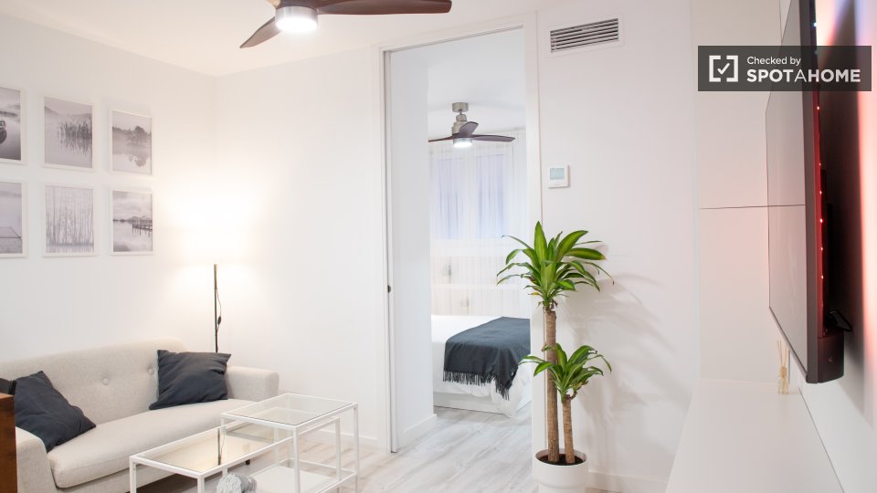 Apartment mono Madrid — photo 1