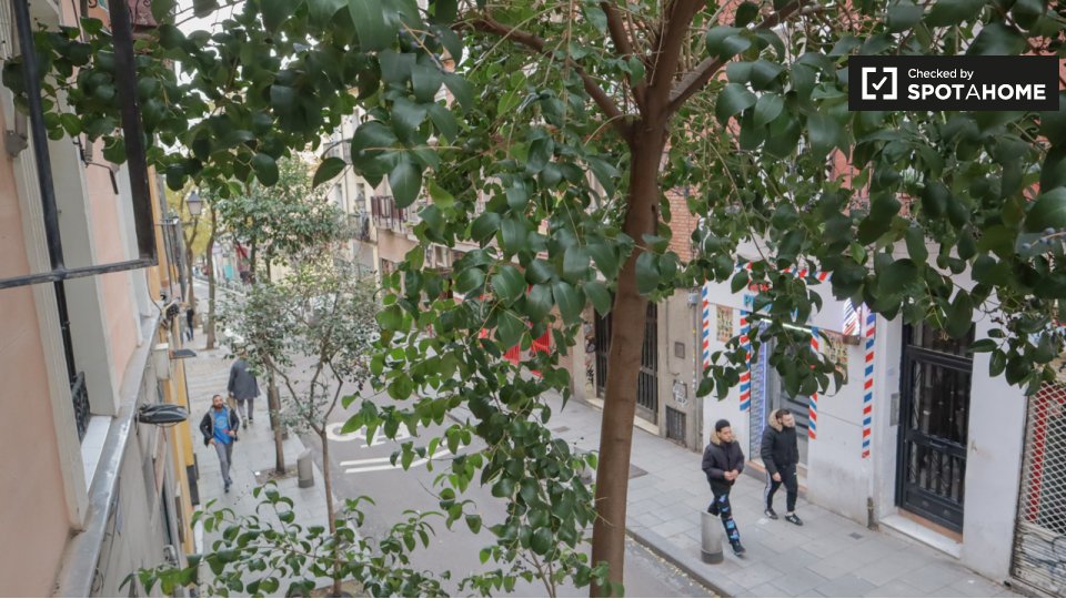 Apartment mono Madrid, 50m² — photo 3