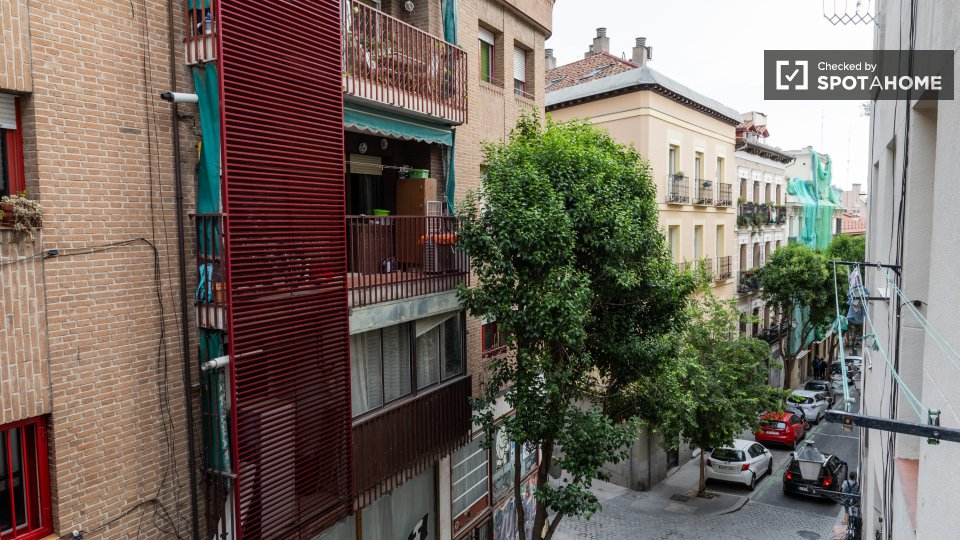 Apartment Madrid, 1 bed — photo 11