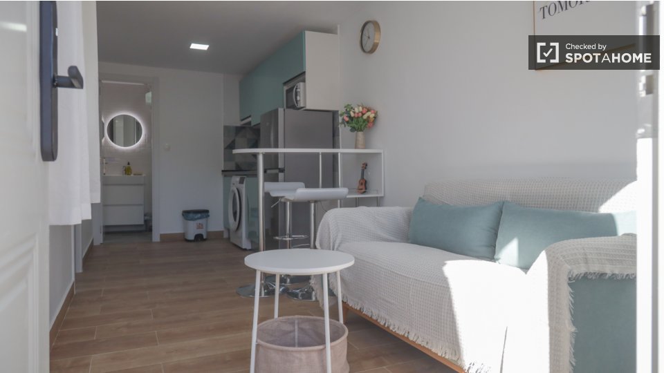 Apartment Madrid, 1 bed — photo 13