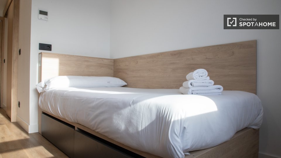 Apartment Madrid, 1 bed — photo 10