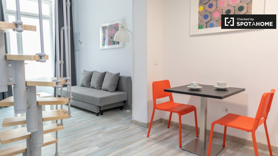 Apartment mono Madrid, 45m² — photo 10