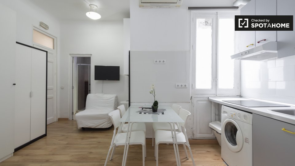 Apartment mono Madrid, 25m² — photo 10