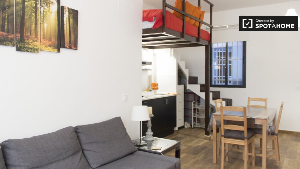 Apartment mono Madrid, 35m² — photo 5