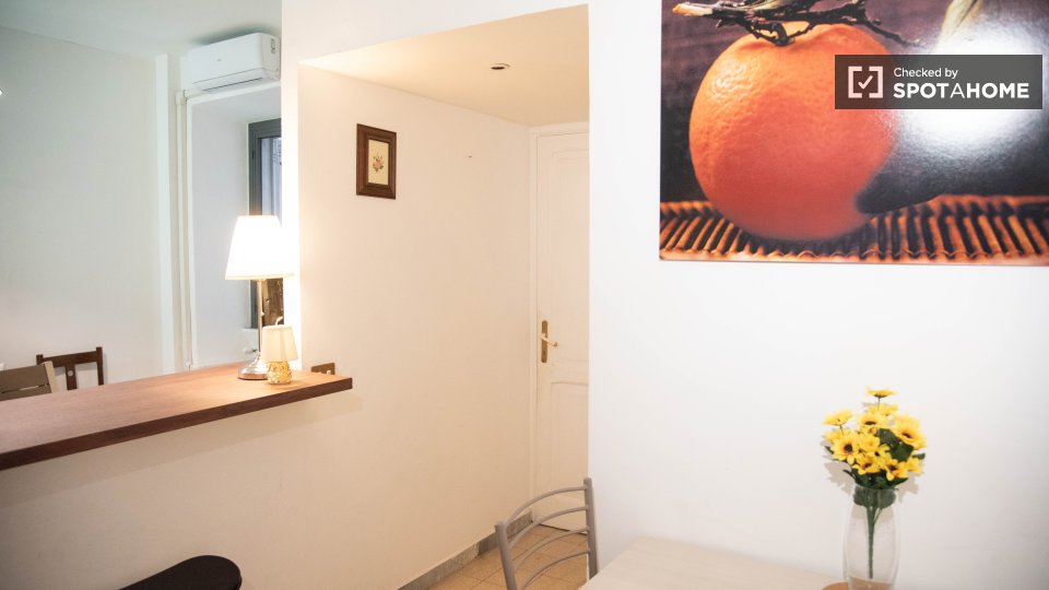 Apartment Rome, 1 bed — photo 29