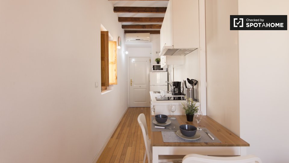 Apartment mono Madrid — photo 12