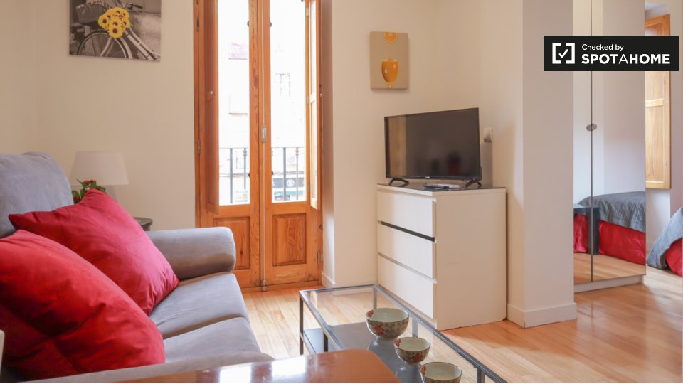 Apartment mono Madrid, 1m² — photo 6