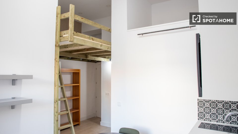 Apartment mono Madrid — photo 4