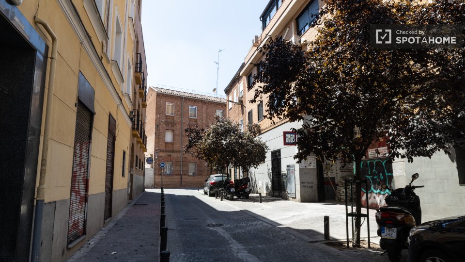 Apartment Madrid, 1 bed — photo 24