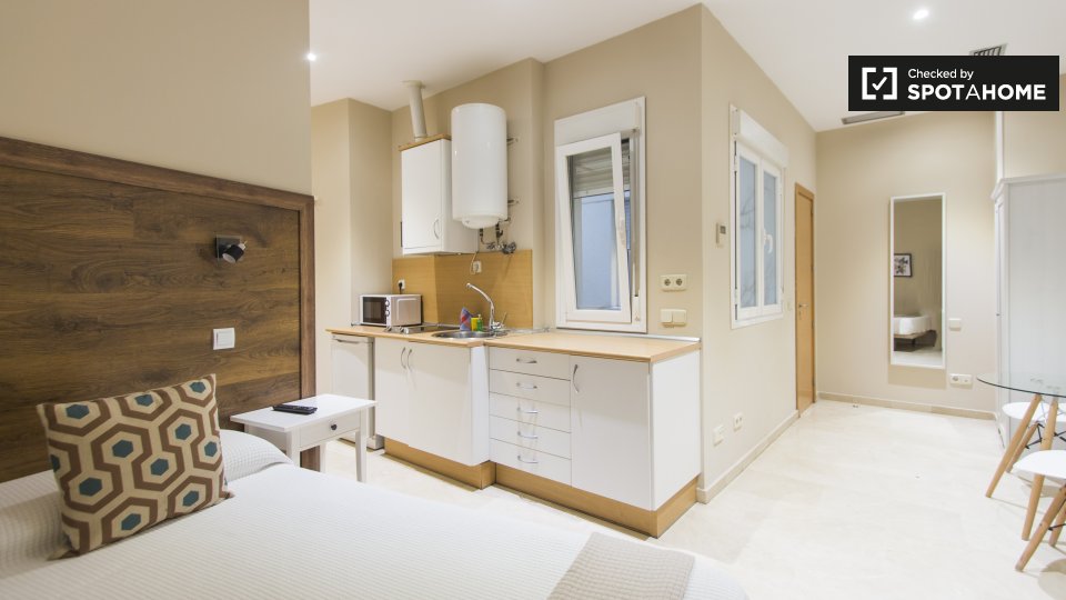 Apartment mono Madrid, 22m² — photo 1