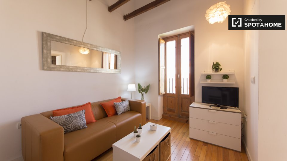 Apartment mono Madrid — photo 5