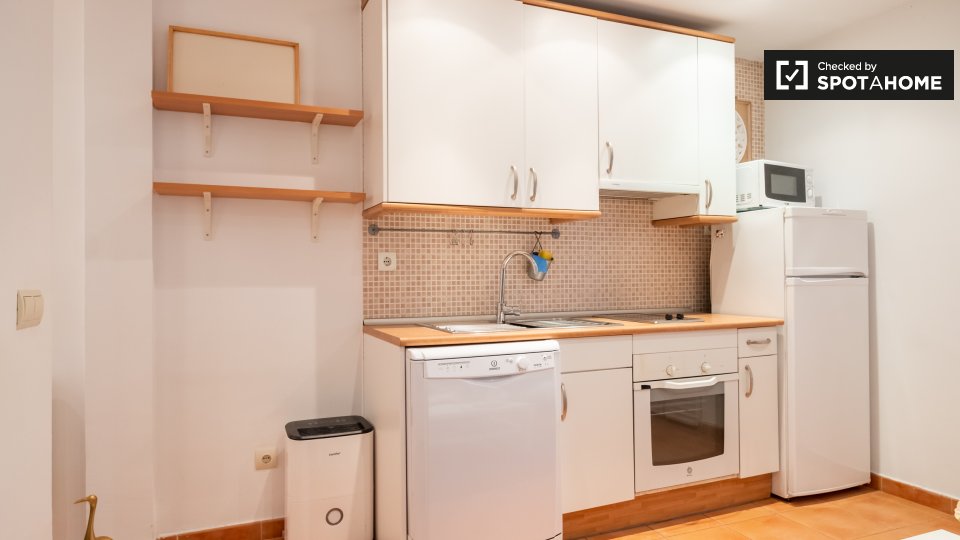 Apartment Madrid, 1 bed — photo 3