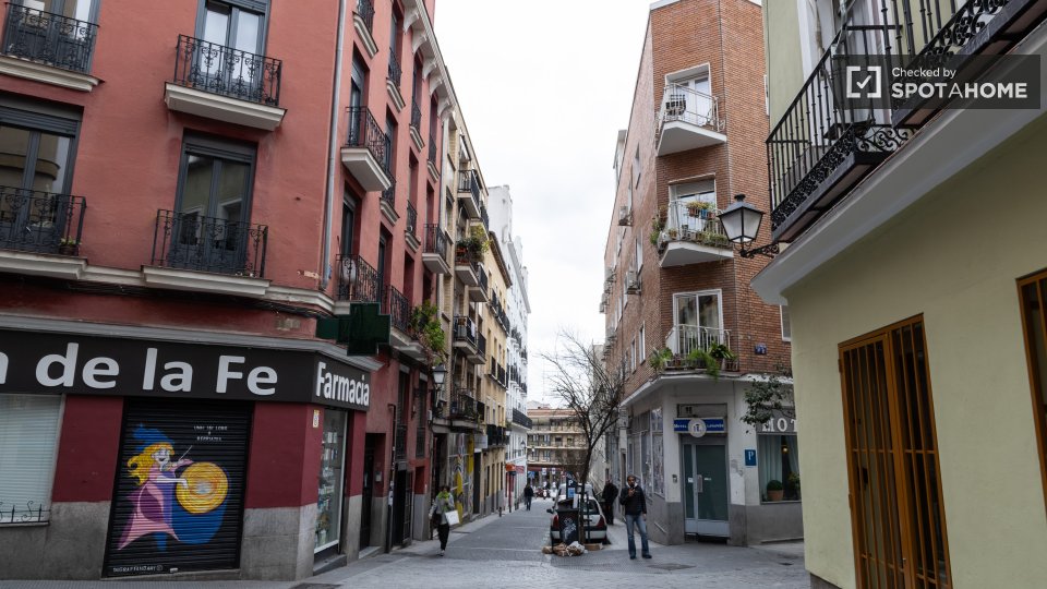 Apartment Madrid, 1 bed — photo 13