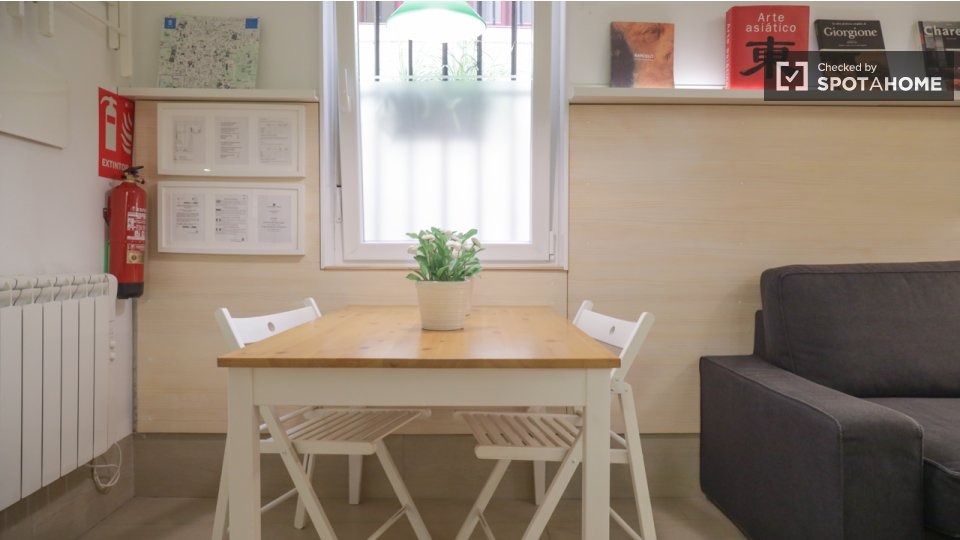 Apartment mono Madrid, 30m² — photo 16