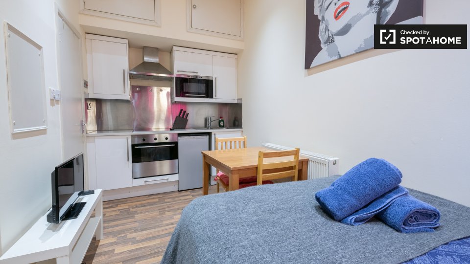 Colourful studio apartment to rent in Brent, London (ref 398609