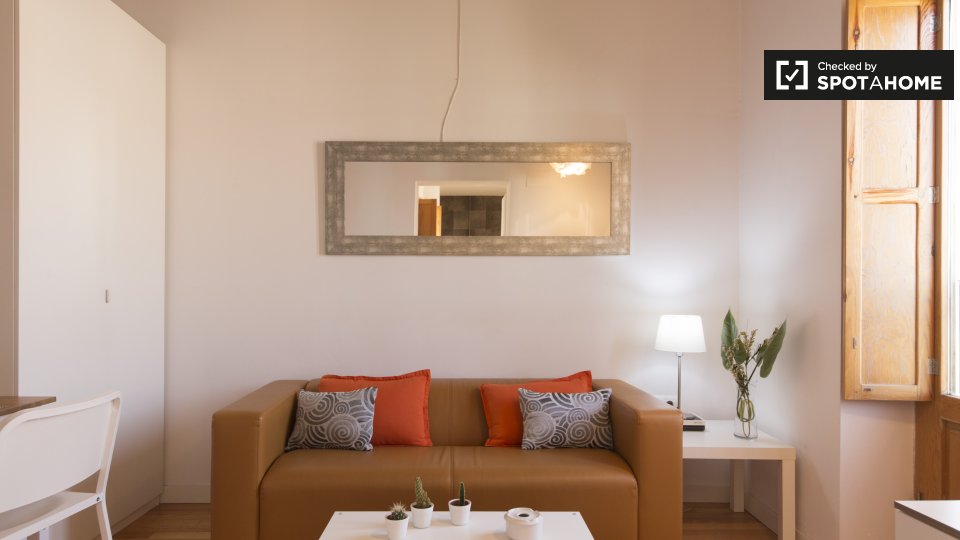 Apartment mono Madrid — photo 4