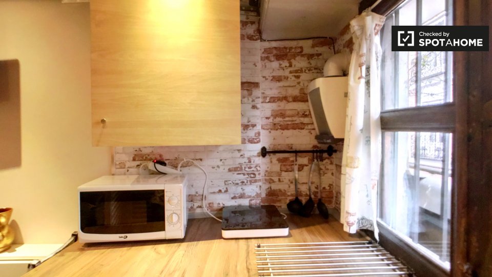 Apartment mono Madrid, 15m² — photo 8