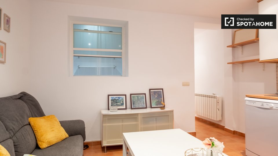 Apartment Madrid, 1 bed — photo 2