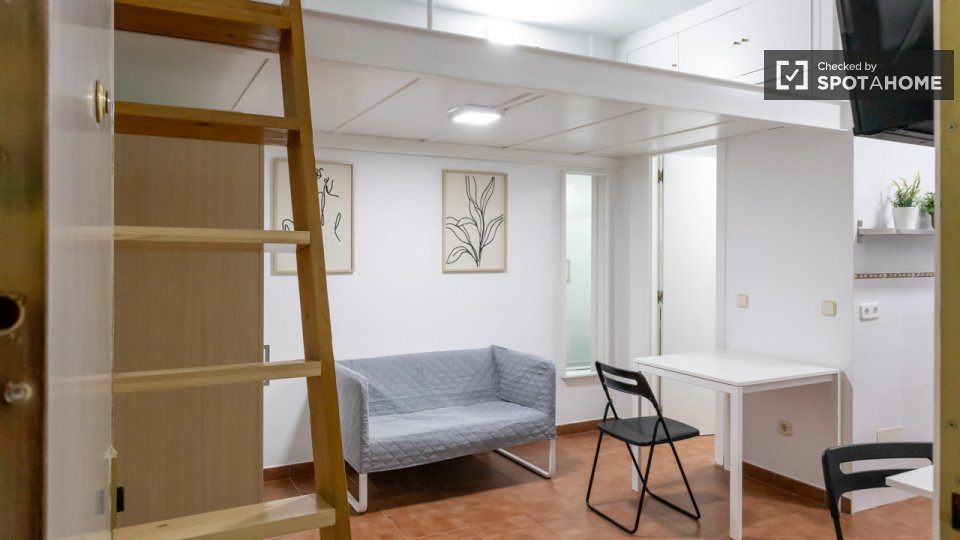 Apartment mono Madrid — photo 4