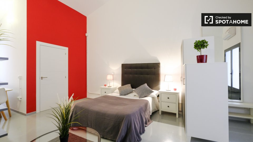 Apartment mono Madrid — photo 5