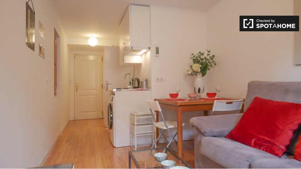 Apartment mono Madrid, 1m² — photo 4