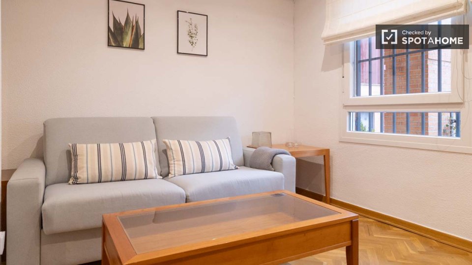 Apartment Madrid, 1 bed — photo 12