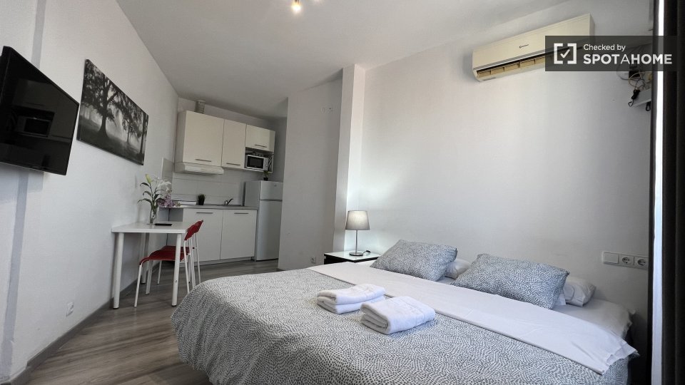 Apartment mono Madrid — photo 10