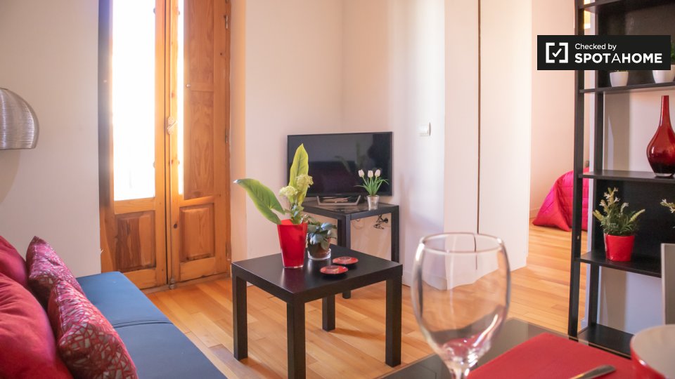 Apartment Madrid, 1 bed — photo 19
