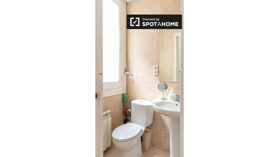 Double room Madrid, 10 beds, 220m² — photo 18