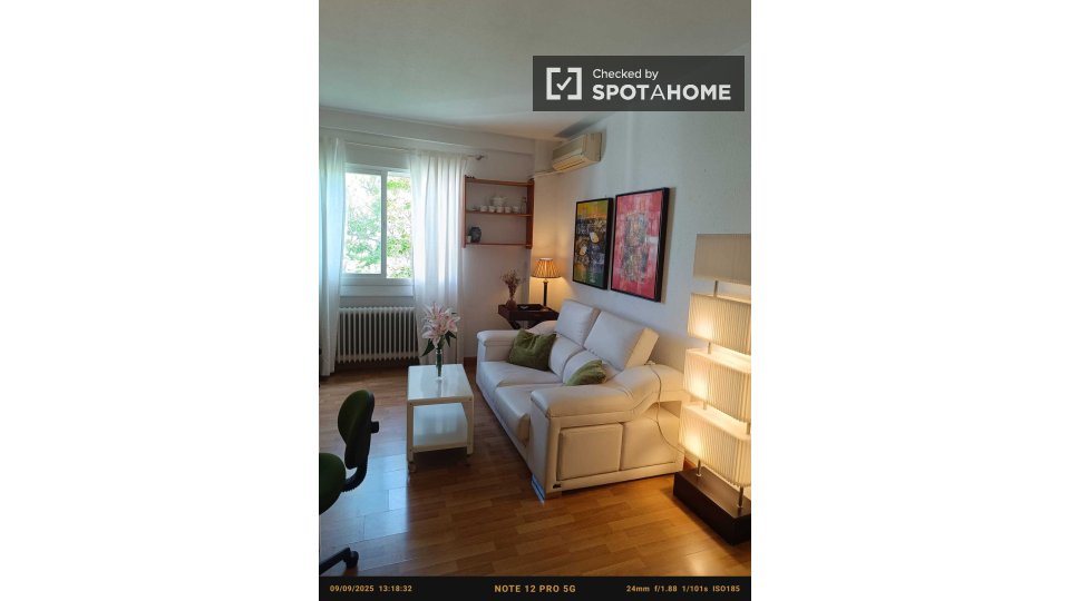 Apartment Madrid, 1 bed — photo 4