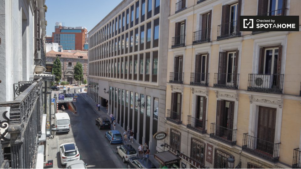 Double room Madrid, 12 beds, 280m² — photo 7