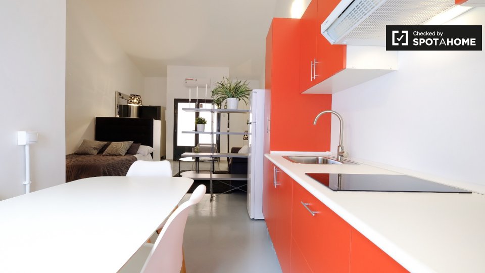 Apartment mono Madrid — photo 12