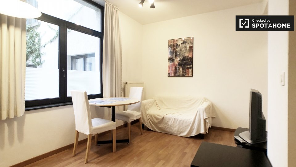 Apartment mono Brussels, 50m² — photo 1