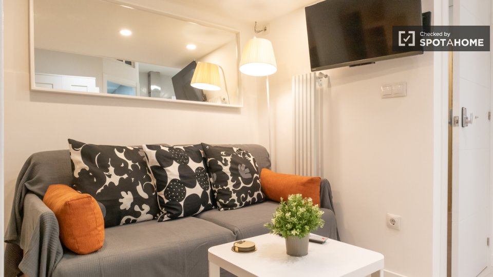 Apartment mono Madrid, 30m² — photo 15